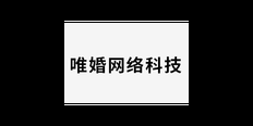 北京信息化商务咨询服务保障 唯婚网络科技