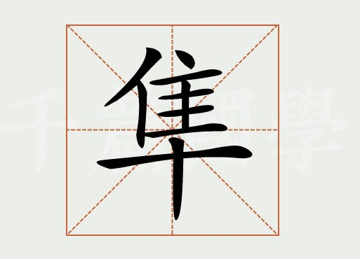 隼怎么读(隼是什么意思，隼和鹰的区别是什么)