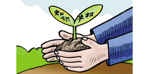 参考知识产权介绍,知识产权