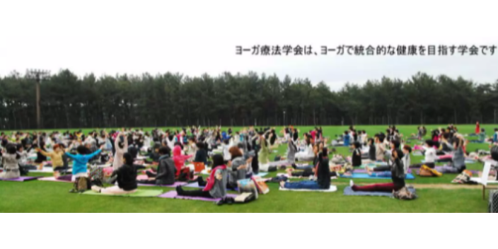 安徽哪里有瑜伽疗法哪家正规,瑜伽疗法