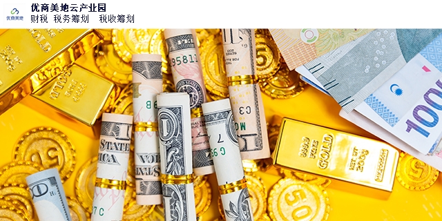 个人所得税税务筹划格式,税务筹划