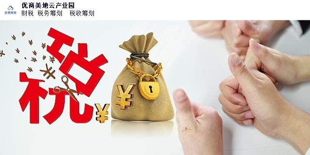 个人所得税税务筹划格式,税务筹划