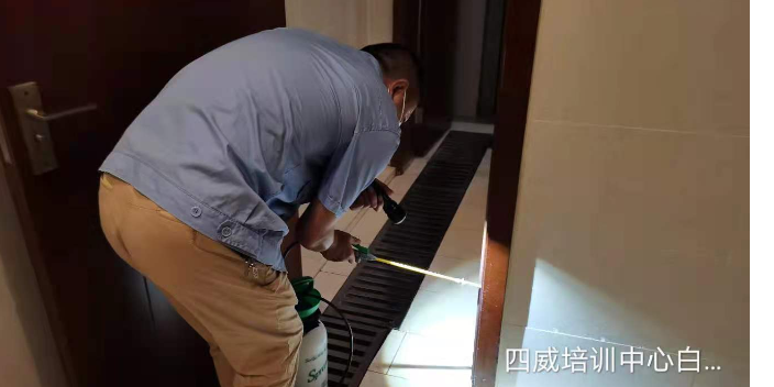 成都湿地白蚁灭治公司,白蚁灭治