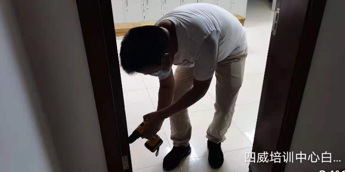 成都湿地白蚁灭治公司,白蚁灭治