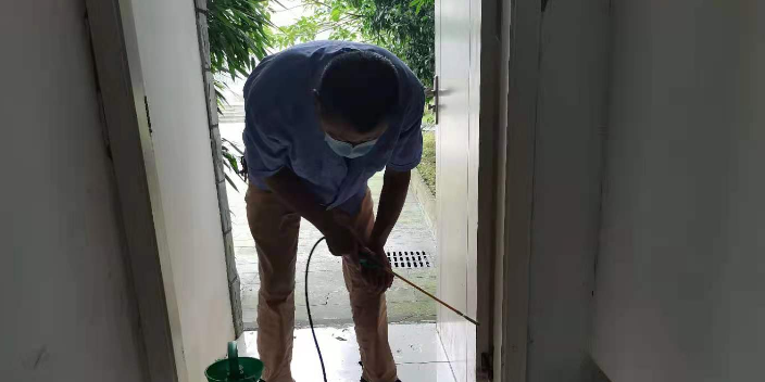 成都湿地白蚁灭治公司,白蚁灭治