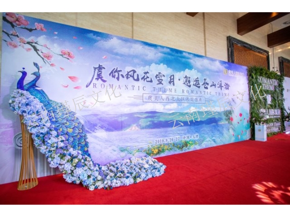 商业演出舞台音箱,舞台