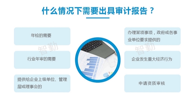 经济责任审计服务,审计