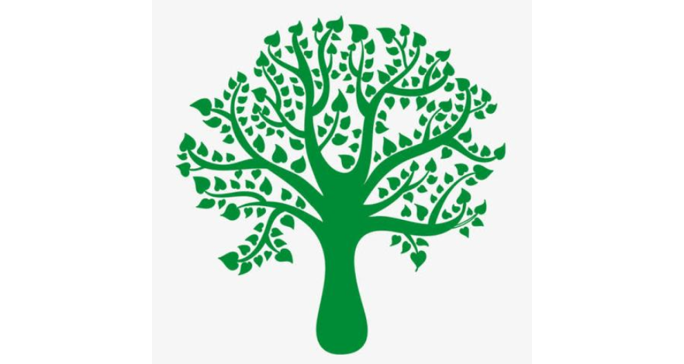 梁溪区电商广告设计哪个好,广告设计