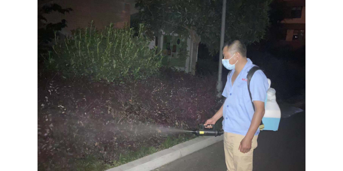 四川超市害虫防治推荐,害虫防治