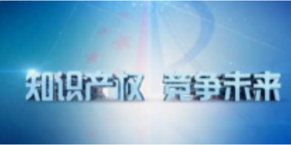 浦东新区信息化知识所属权办理,知识所属权