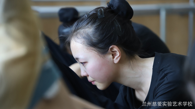 西北地区塑身舞蹈团,舞蹈