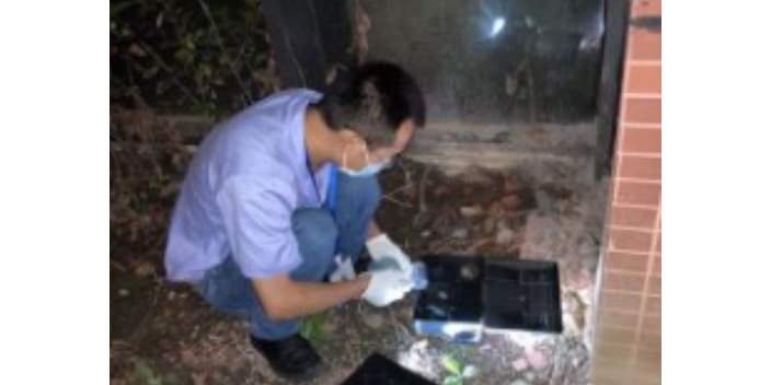 四川面包厂老鼠灭治注意事项,老鼠灭治
