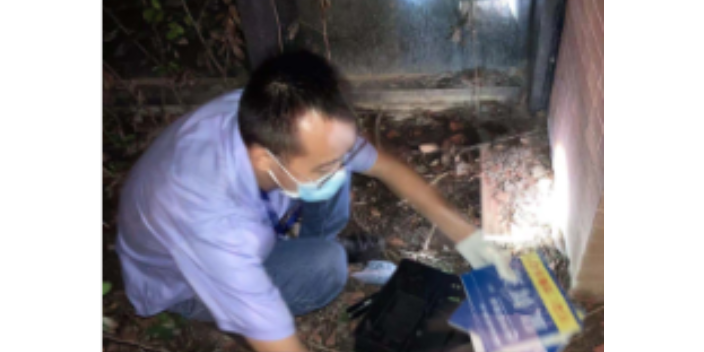 四川面包厂老鼠灭治注意事项,老鼠灭治