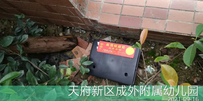 四川面包厂老鼠灭治注意事项,老鼠灭治