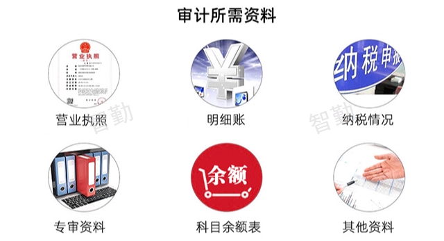 经济责任审计服务,审计