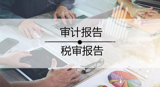 经济责任审计服务,审计