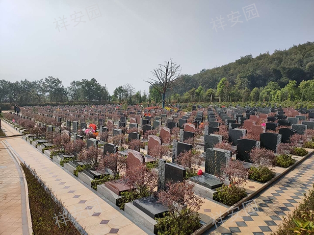 云南玉案山墓地购买,墓地