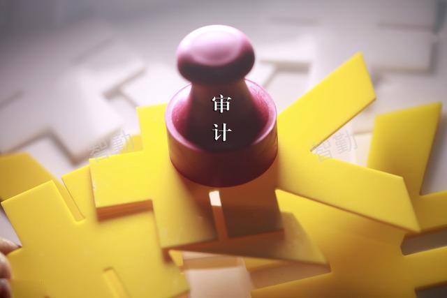 经济责任审计服务,审计