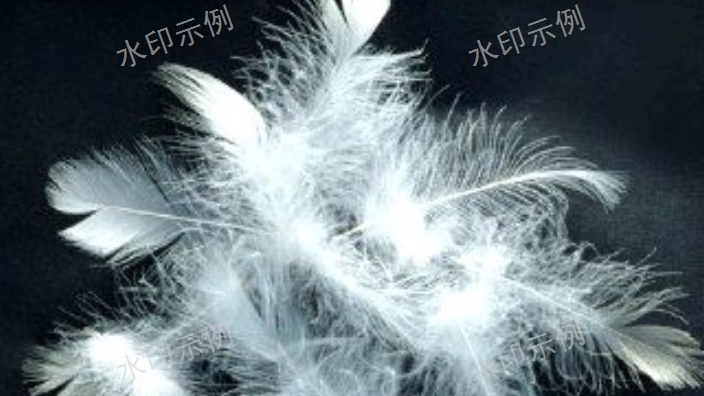 埃及专业的水洗羽毛羽绒进口报关国外需要资料,水洗羽毛羽绒进口报关