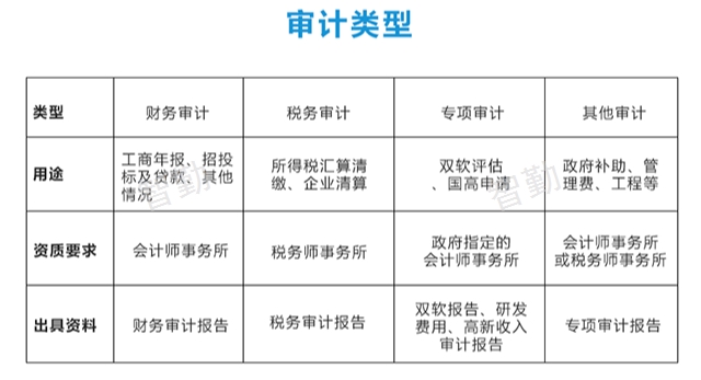 经济责任审计服务,审计