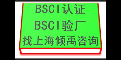 安徽UL BSCI认证 推荐咨询 上海倾禹企业管理咨询供应