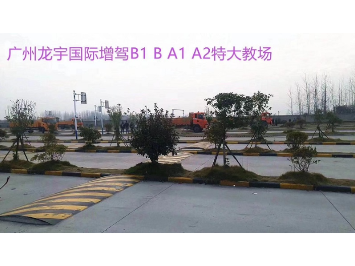 拖头培训佛山哪里好,证