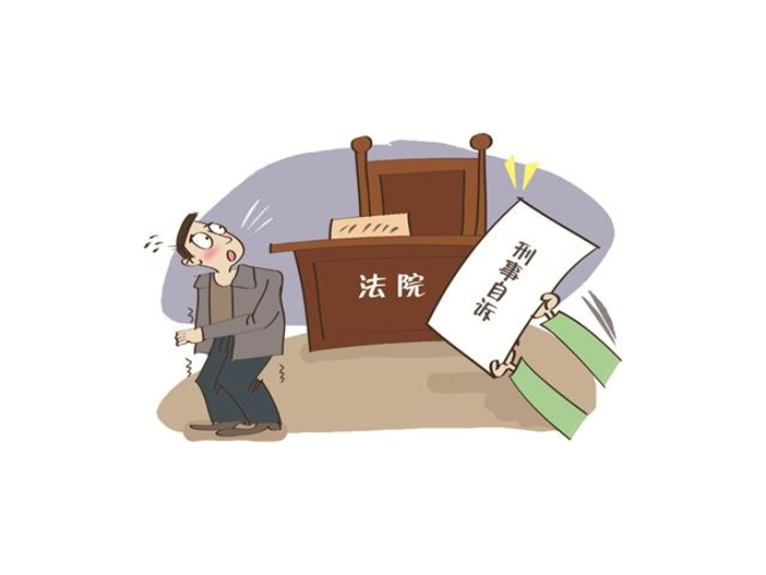 上海综合刑事辩护公司,刑事辩护