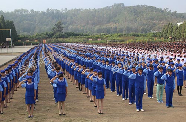 红河有哪些空乘专业学院,航空