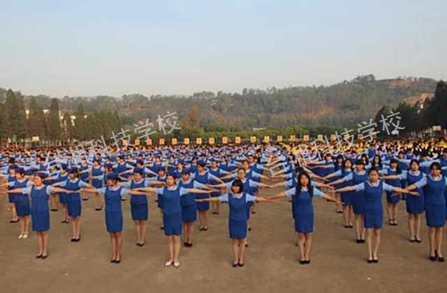红河有哪些空乘专业学院,航空