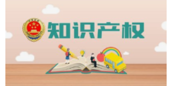 浦东新区信息化知识所属权办理,知识所属权