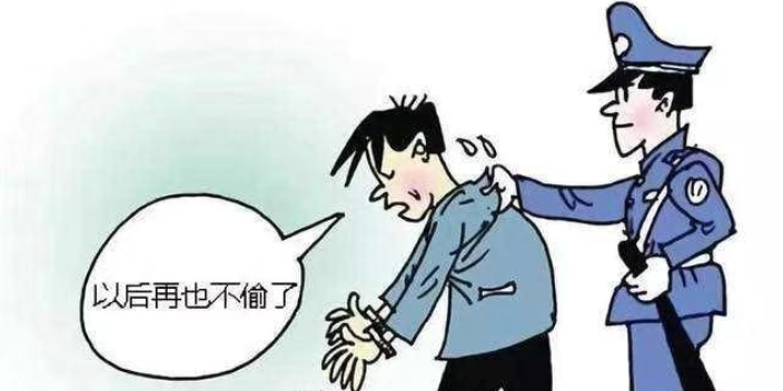 宝山区刑事,刑事