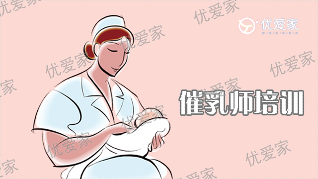 新邵家政平台排名,家政