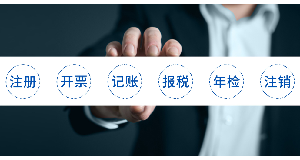 深圳财务公司分账系统方式,公司分账系统