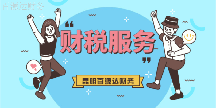 富民财务财税服务筹划,财税服务