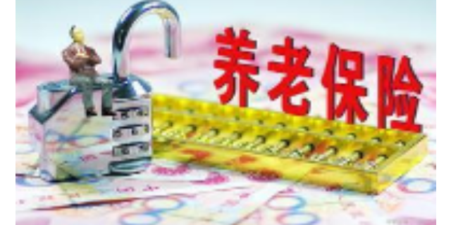 留学上海落户代理公司,代办