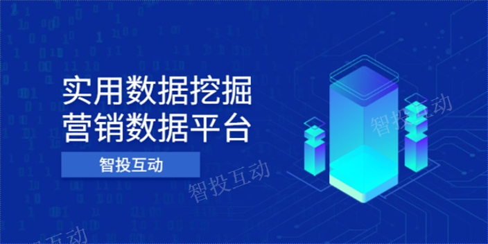 投放数据管理,数据