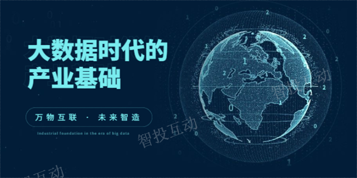 投放数据管理,数据