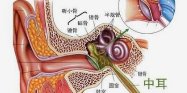在哪里学修脚学费多少钱,采耳培训