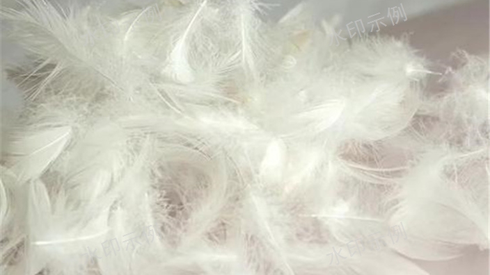 新西兰专业的水洗羽毛羽绒进口报关门到门服务,水洗羽毛羽绒进口报关