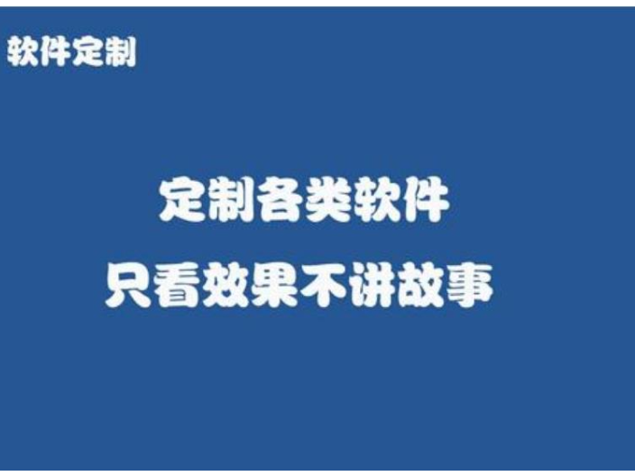 湖北技术软件定制诚信合作,软件定制