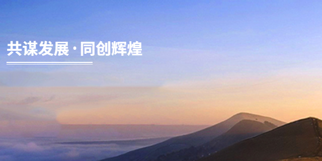 吉林名优艺术设计咨询技术指导,艺术设计咨询