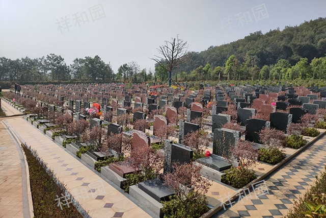 昆明祥和祥安园多少钱一个,祥安园