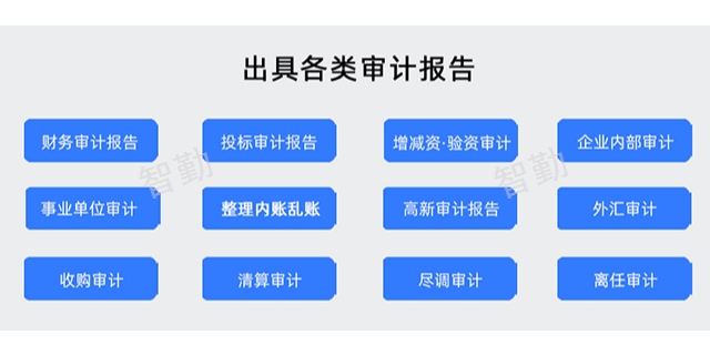 经济责任审计服务,审计