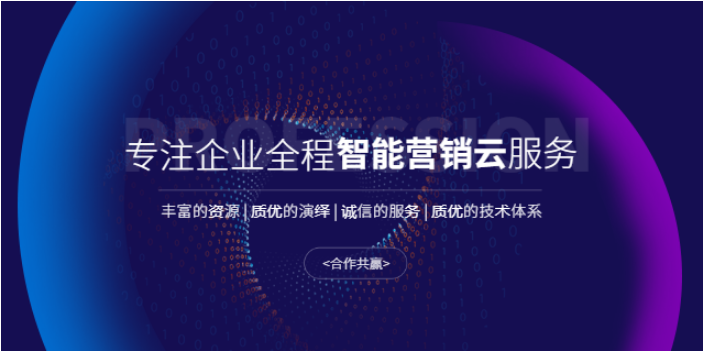 阳江智能网站建设哪家优惠,网站建设
