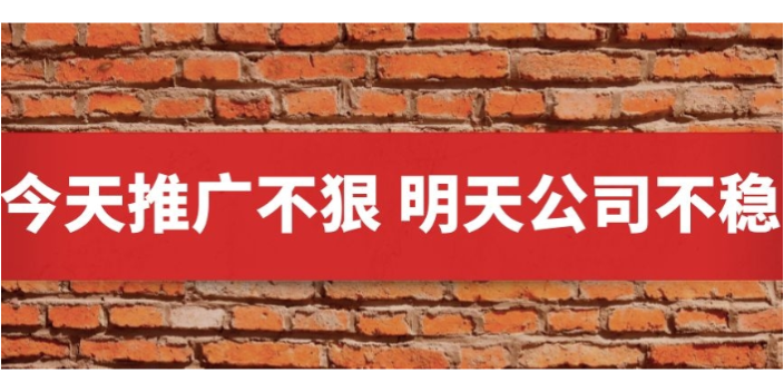 河北数据网络宣传选择,网络宣传
