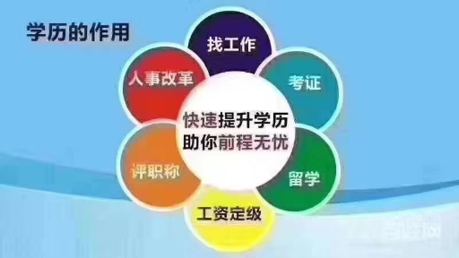 红河州法律事务专升本公司,专升本