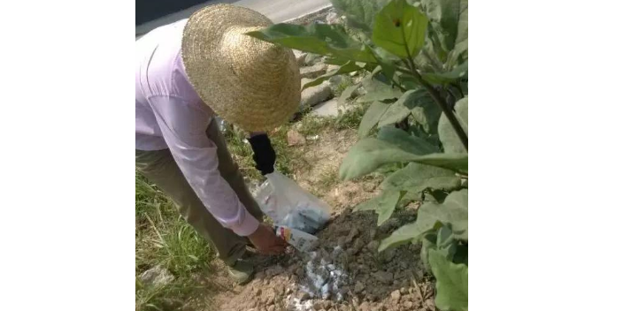 工厂蚂蚁灭治公司电话,蚂蚁灭治
