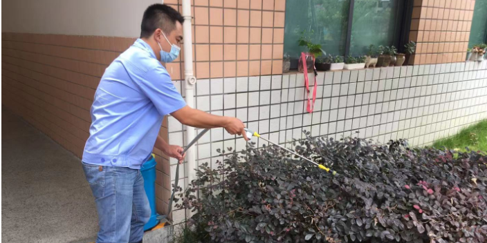 工厂蚂蚁灭治公司电话,蚂蚁灭治