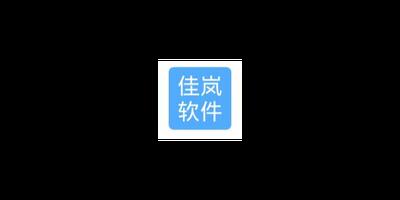 奉贤区如何商业软件研发承诺守信 佳岚软件有限公司供应