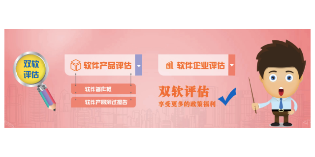 上海如何申报双软企业认定,双软企业